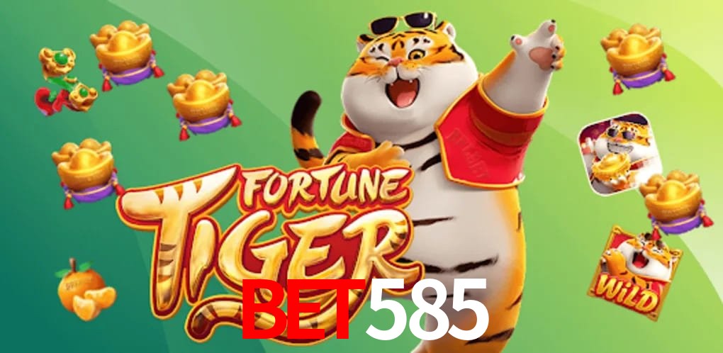 Experiência VIP bet585